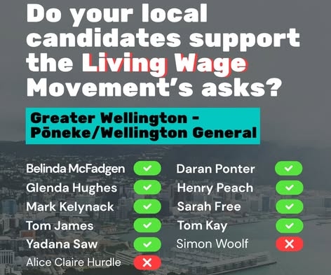 The Greater Wellington Regional Council Candidates’ Scorecard is Here